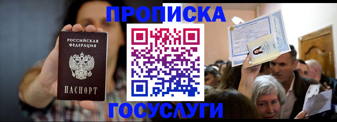 прописка поиск в Камышине